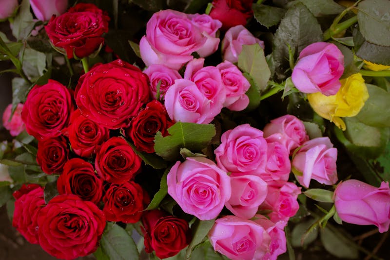 Grand bouquet roses multicolores interflora — Arc-en-Fleurs