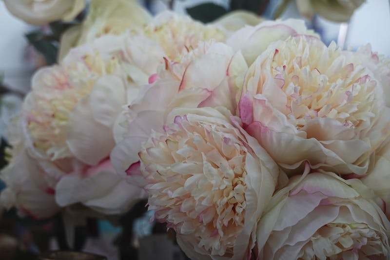 Bouquet de mariée interflora — Bouquet Nuptial Ivoire