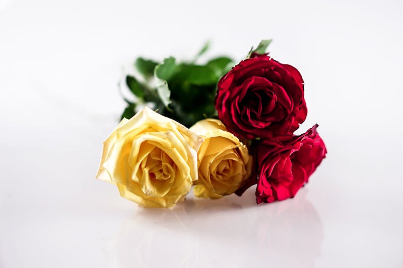 Composition florale inter flora pour mariage