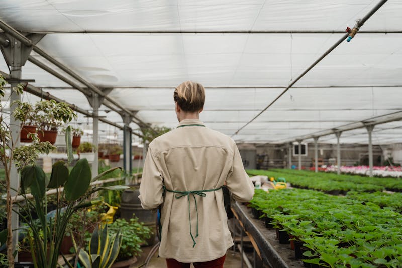 Portrait de Marc Laurent, horticulteur Interflora