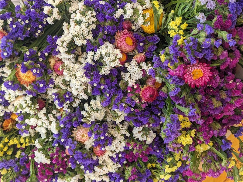 Offrir des fleurs — guide cadeaux floraux Interflora